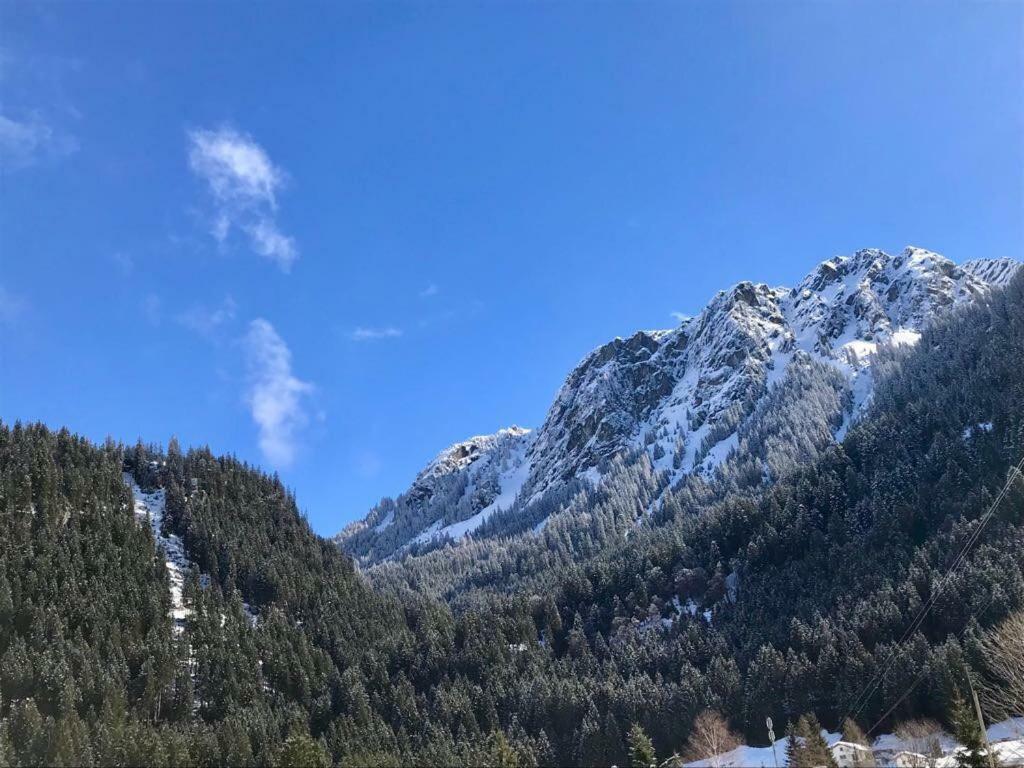 Alpinappartements Stoeckl Partenen Kültér fotó